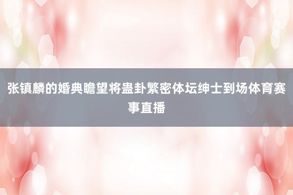 张镇麟的婚典瞻望将蛊卦繁密体坛绅士到场体育赛事直播