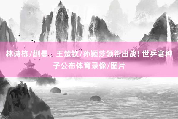 林诗栋/蒯曼、王楚钦/孙颖莎领衔出战! 世乒赛种子公布体育录像/图片