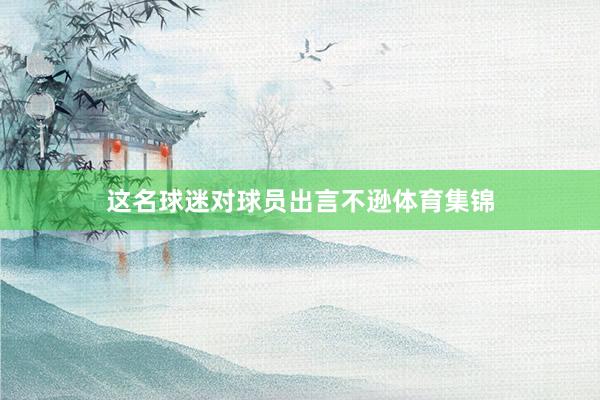 这名球迷对球员出言不逊体育集锦