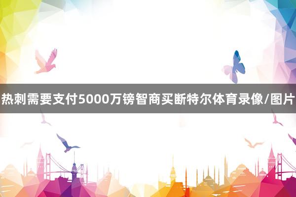 热刺需要支付5000万镑智商买断特尔体育录像/图片
