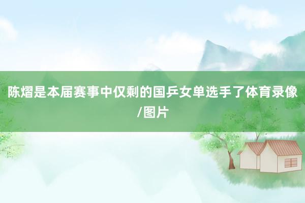 陈熠是本届赛事中仅剩的国乒女单选手了体育录像/图片
