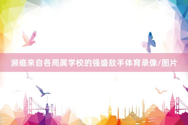 濒临来自各局属学校的强盛敌手体育录像/图片