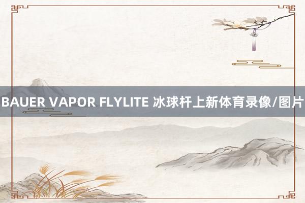 BAUER VAPOR FLYLITE 冰球杆上新体育录像/图片