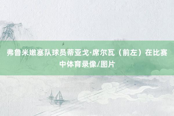 弗鲁米嫩塞队球员蒂亚戈·席尔瓦（前左）在比赛中体育录像/图片