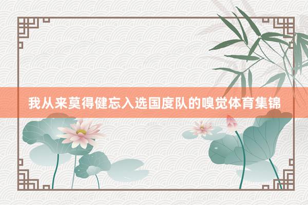 我从来莫得健忘入选国度队的嗅觉体育集锦