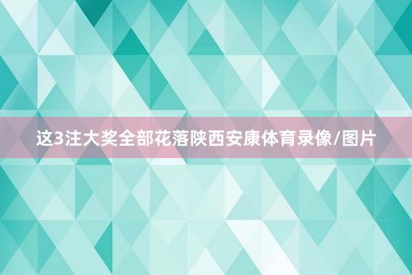 这3注大奖全部花落陕西安康体育录像/图片