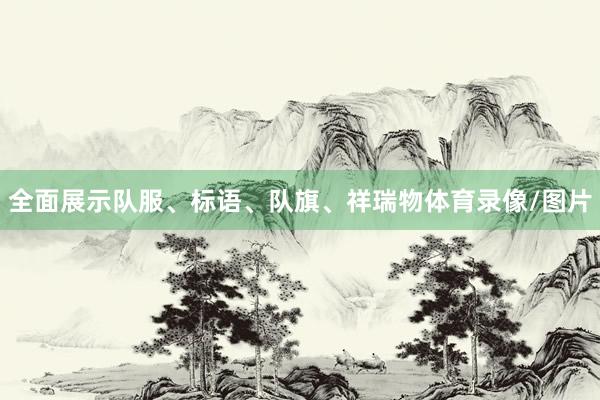 全面展示队服、标语、队旗、祥瑞物体育录像/图片