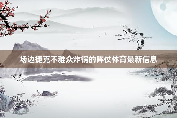 场边捷克不雅众炸锅的阵仗体育最新信息