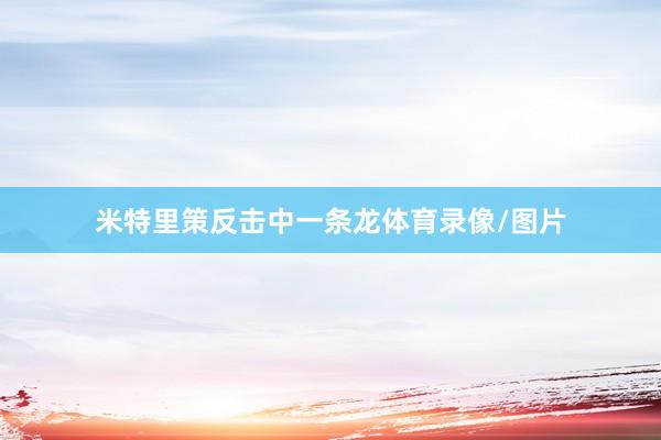 米特里策反击中一条龙体育录像/图片