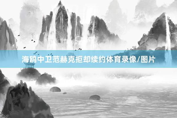 海鸥中卫范赫克拒却续约体育录像/图片
