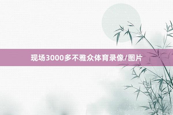 现场3000多不雅众体育录像/图片