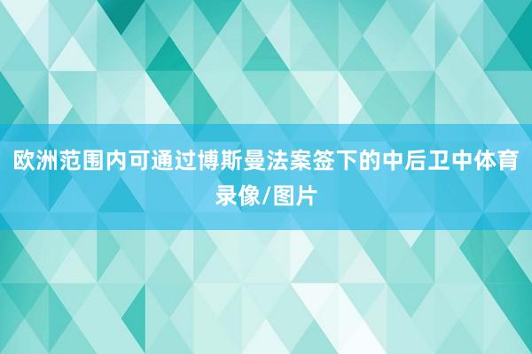欧洲范围内可通过博斯曼法案签下的中后卫中体育录像/图片