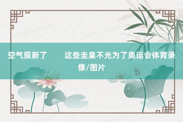 空气簇新了        这些圭臬不光为了奥运会体育录像/图片
