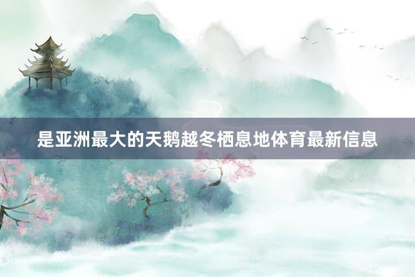 是亚洲最大的天鹅越冬栖息地体育最新信息