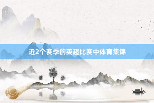 近2个赛季的英超比赛中体育集锦