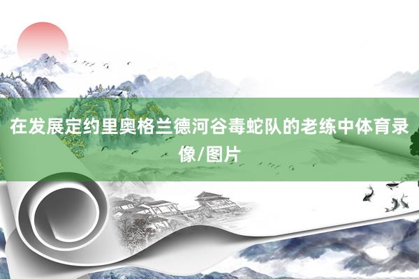 在发展定约里奥格兰德河谷毒蛇队的老练中体育录像/图片