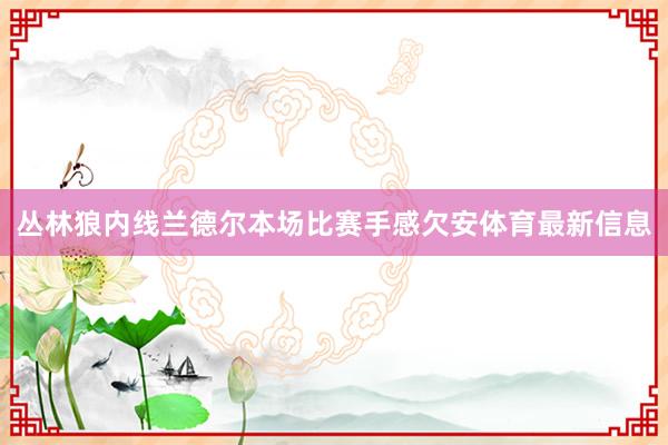 丛林狼内线兰德尔本场比赛手感欠安体育最新信息