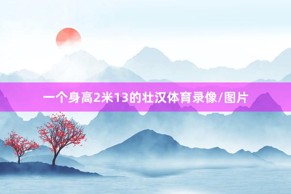 一个身高2米13的壮汉体育录像/图片