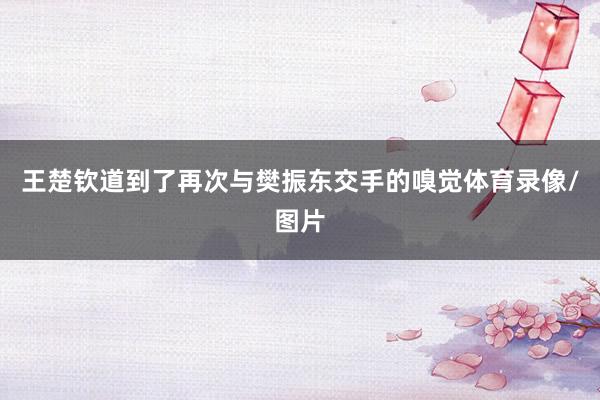 王楚钦道到了再次与樊振东交手的嗅觉体育录像/图片