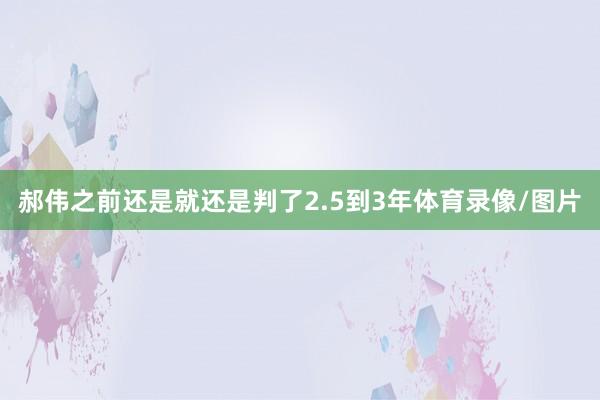 郝伟之前还是就还是判了2.5到3年体育录像/图片