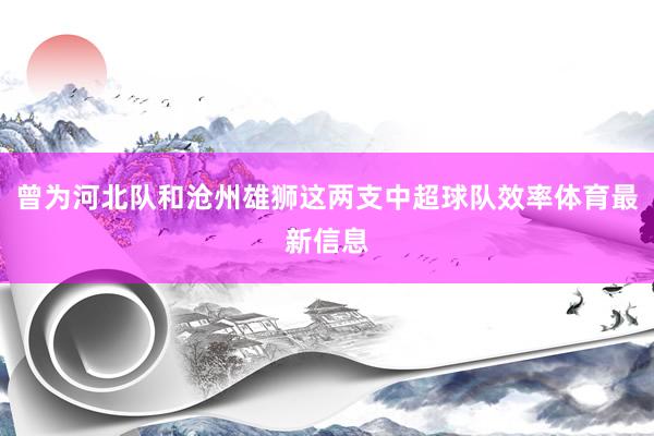曾为河北队和沧州雄狮这两支中超球队效率体育最新信息