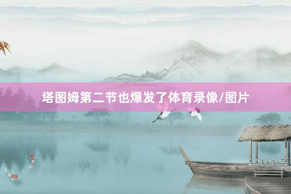 塔图姆第二节也爆发了体育录像/图片