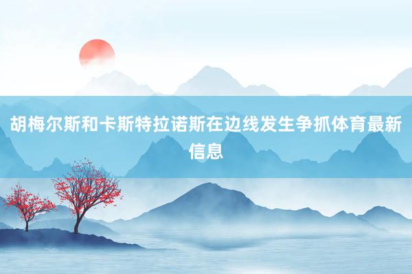 胡梅尔斯和卡斯特拉诺斯在边线发生争抓体育最新信息