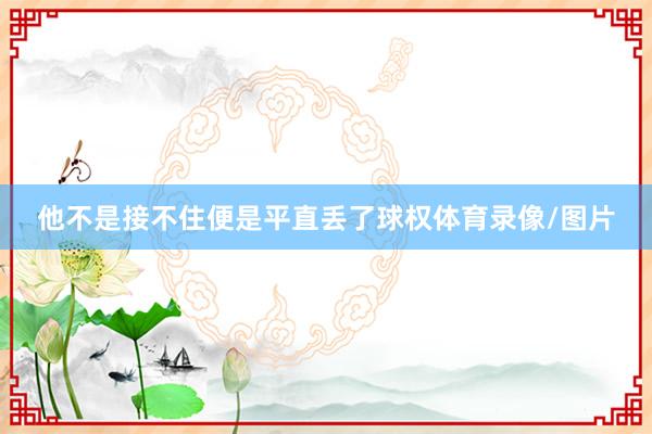 他不是接不住便是平直丢了球权体育录像/图片
