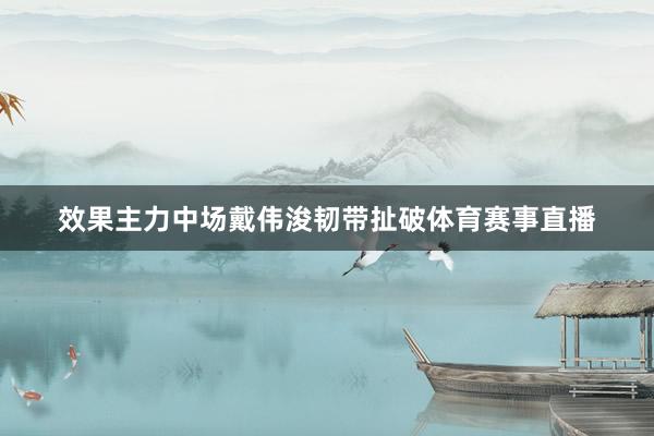 效果主力中场戴伟浚韧带扯破体育赛事直播