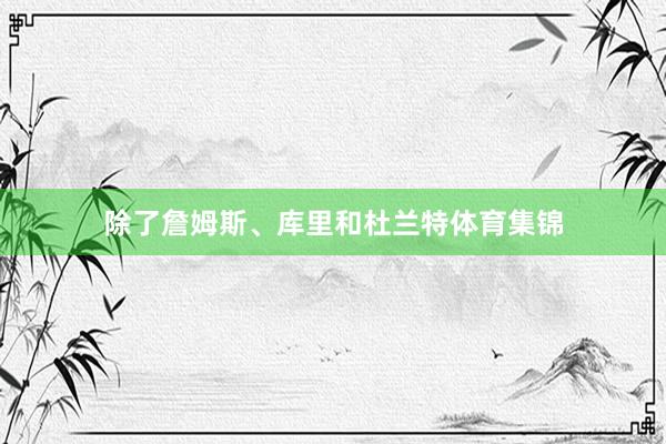 除了詹姆斯、库里和杜兰特体育集锦