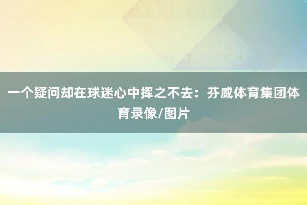 一个疑问却在球迷心中挥之不去：芬威体育集团体育录像/图片