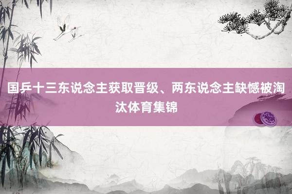 国乒十三东说念主获取晋级、两东说念主缺憾被淘汰体育集锦