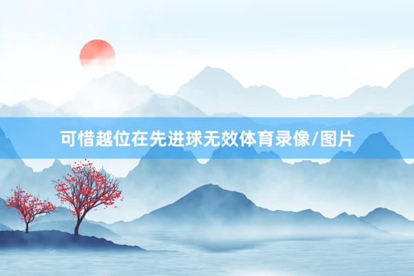 可惜越位在先进球无效体育录像/图片