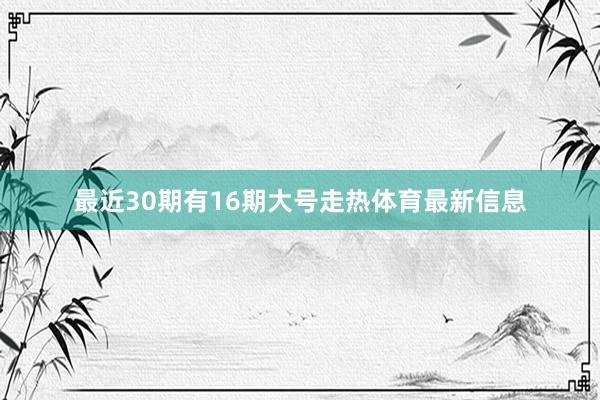 最近30期有16期大号走热体育最新信息