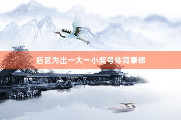 后区为出一大一小奖号体育集锦