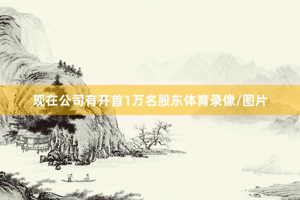 现在公司有开首1万名股东体育录像/图片