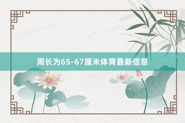 周长为65-67厘米体育最新信息