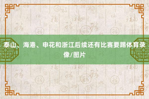 泰山、海港、申花和浙江后续还有比赛要踢体育录像/图片