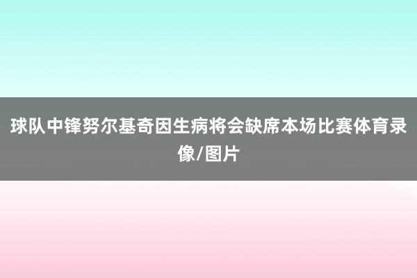 球队中锋努尔基奇因生病将会缺席本场比赛体育录像/图片