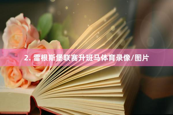 2. 雷根斯堡联赛升班马体育录像/图片